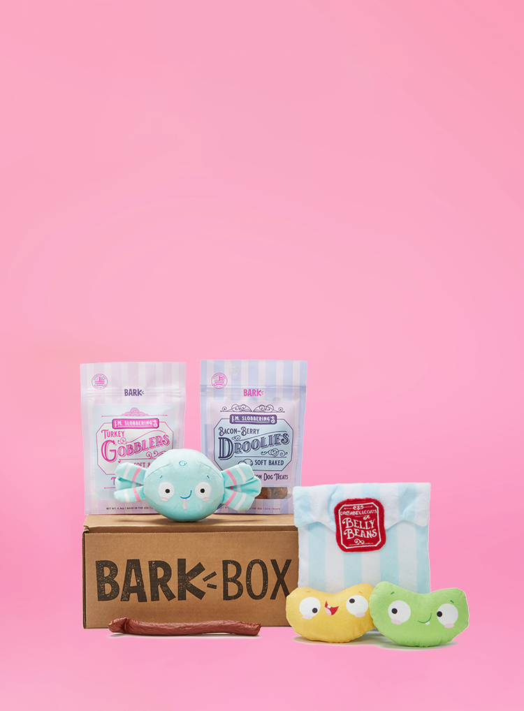 Monthly Themes | BarkBox